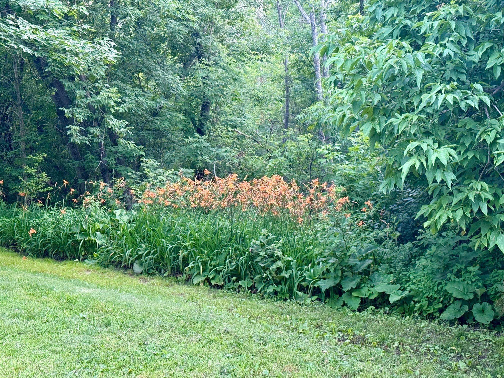 73645 Bjork Road Washburn, WI 54891 - Photo 15 of 18