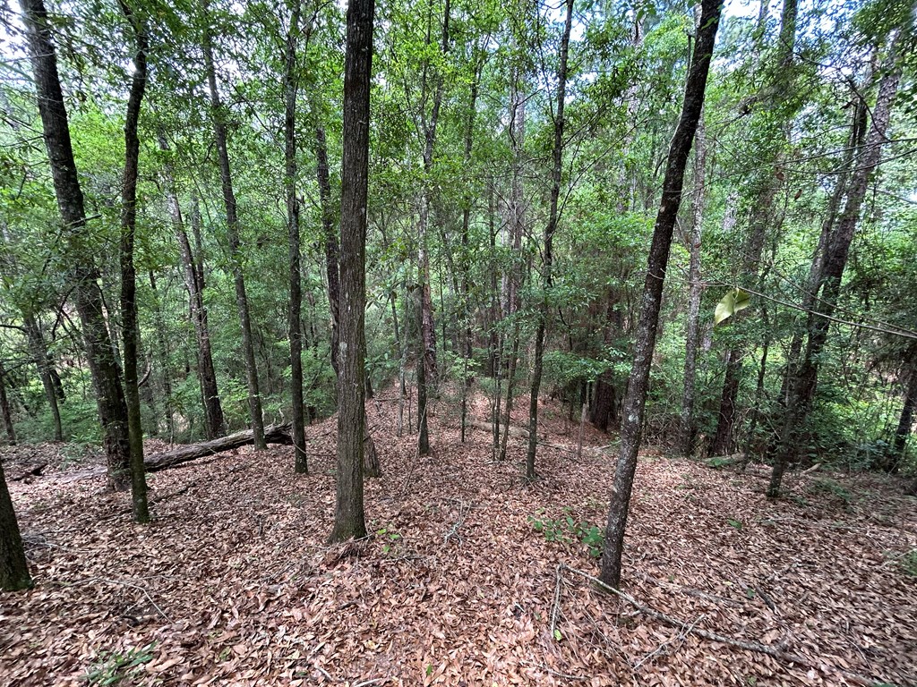 10907-44 -ac) Cty Road Hartford, AL 36344 - Photo 43 of 52