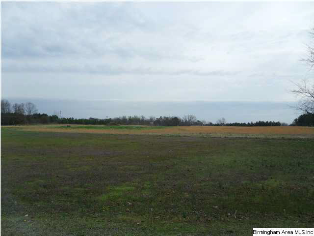 4113 Bagwell Way, Unit 4 Dora, AL 35062 - Photo 1 of 1