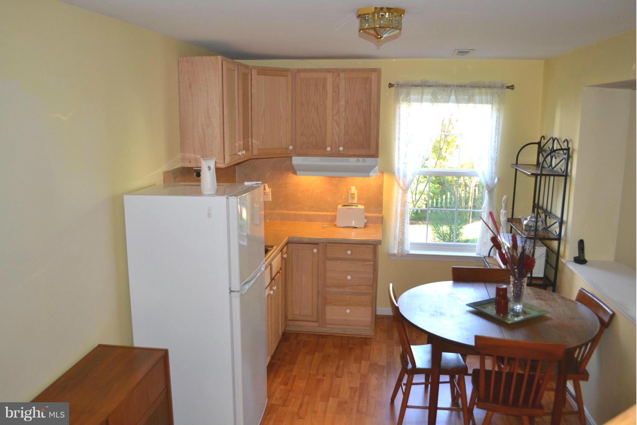 18271 Maple Spring Court Leesburg, VA 20176 - Photo 21 of 30 Basement
