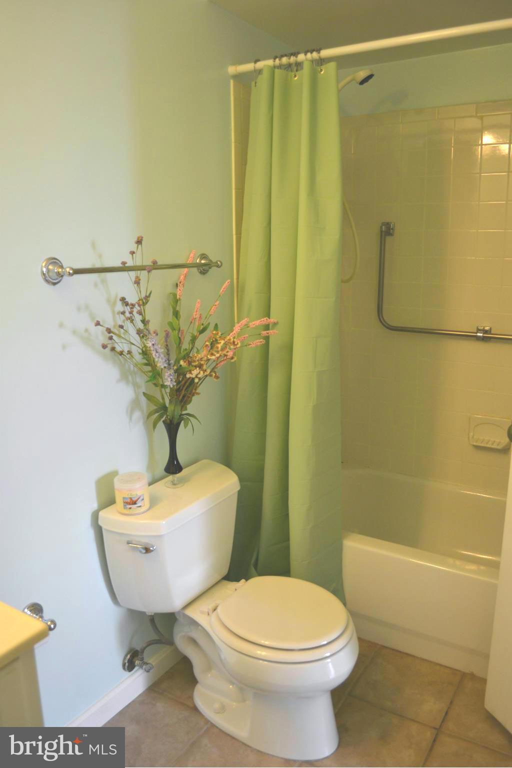 18271 Maple Spring Court Leesburg, VA 20176 - Photo 24 of 30 Basement