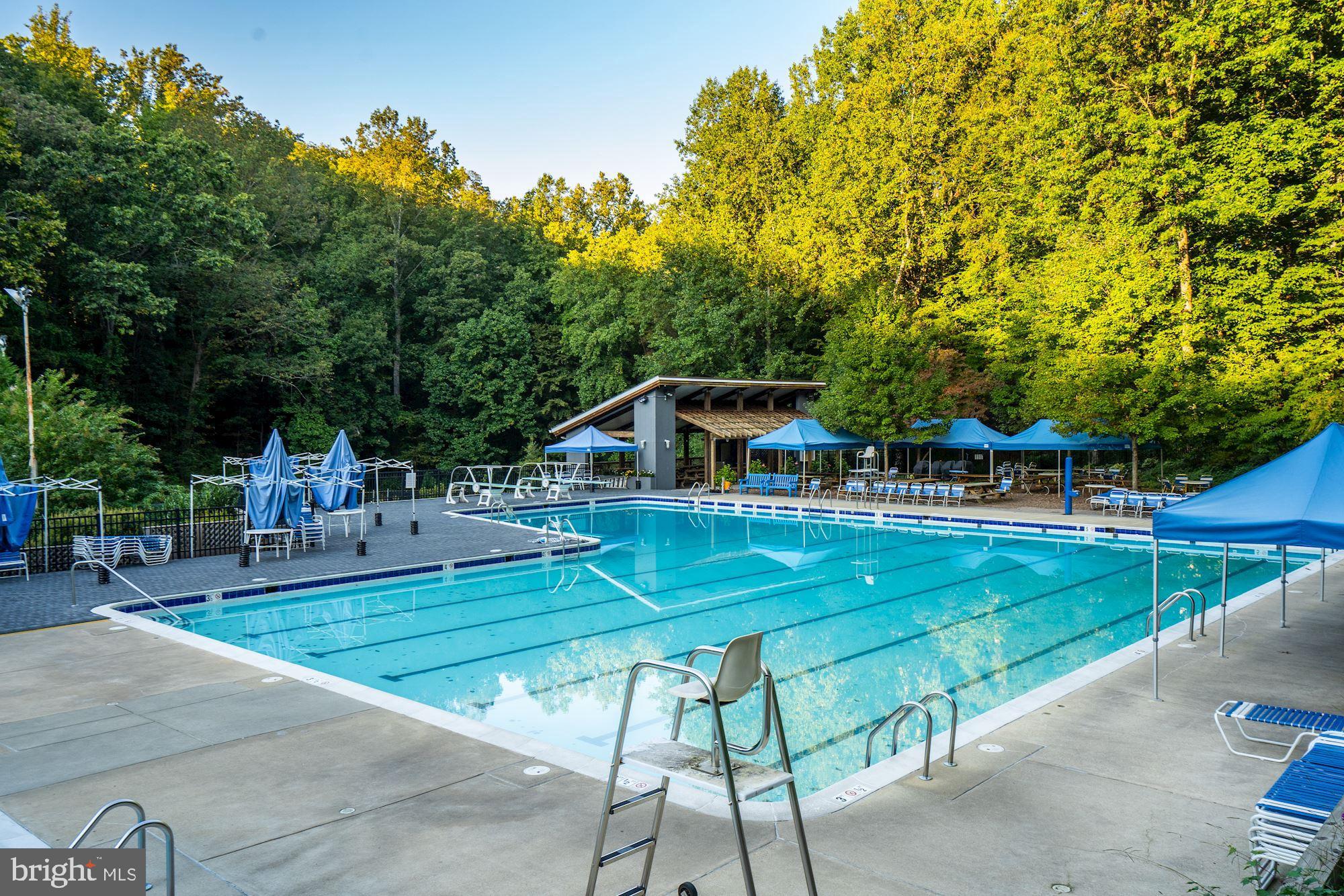 6917 Persimmon Tree Road Bethesda, MD 20817 - Photo 38 of 41 Club Pool