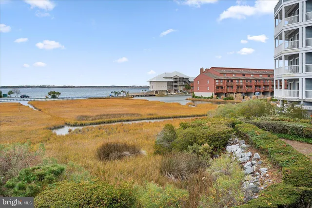 a view of an ocean and beach