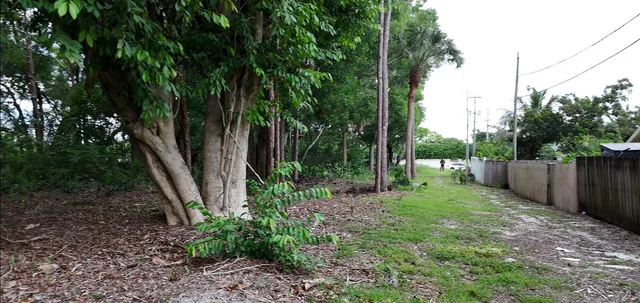 a view of a backyard with plants and wooden fence