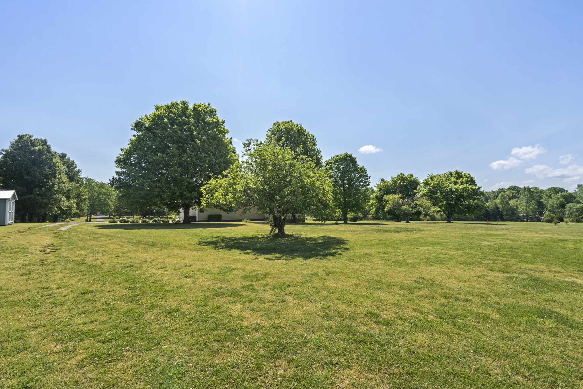 1010 State Highway 48 Dickson, TN 37055 - Photo 49 of 59 a view of a field of grass and trees