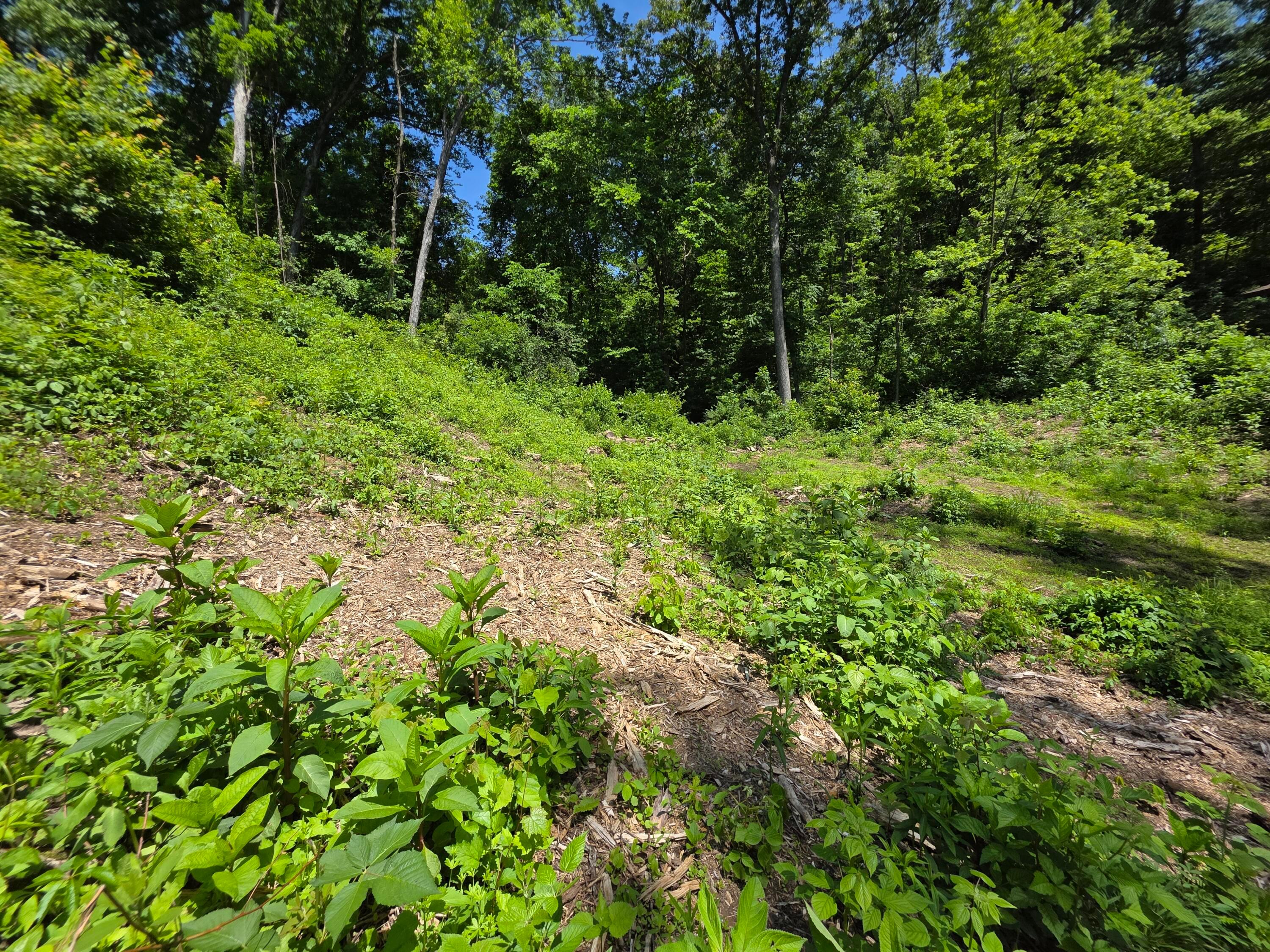 513 Ross Road Southeast Lancaster, OH 43130 - Photo 7 of 12 20260529_122114