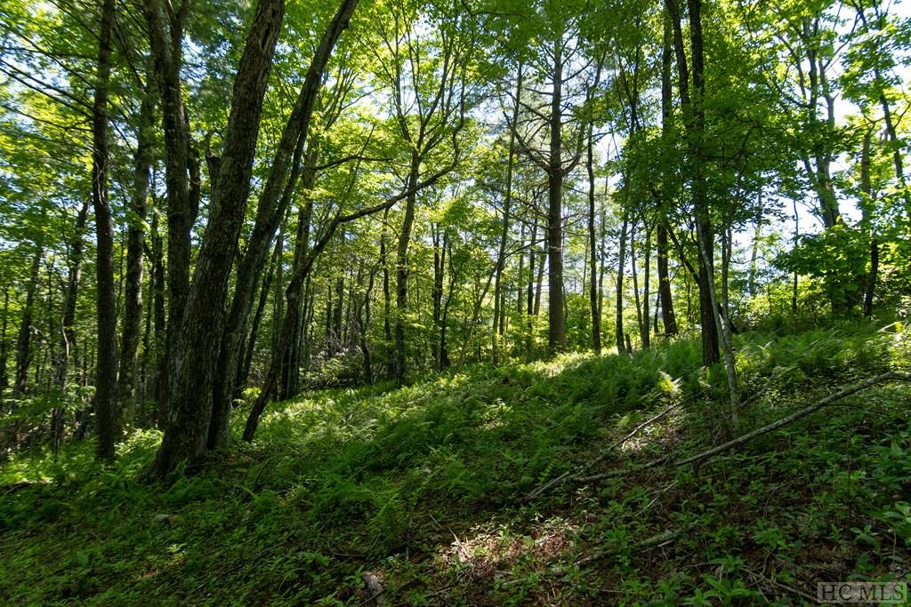 Lot 8 East Ridge Road Cashiers, NC 28717 - Photo 8 of 21 Gallery Image 8