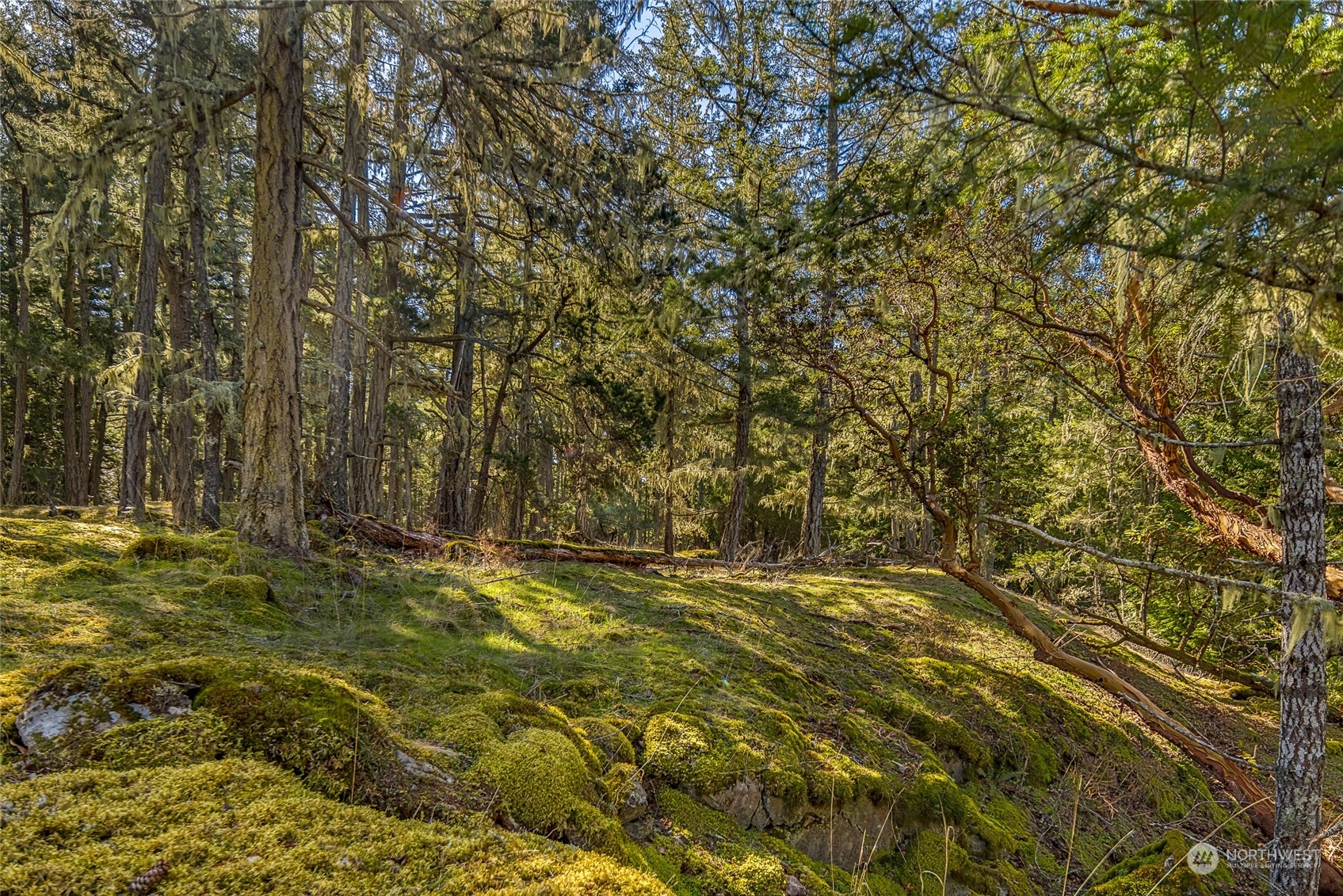 0 Tibb's Landing Shaw Island, WA 98286 - Photo 13 of 20 a view of outdoor space with a yard