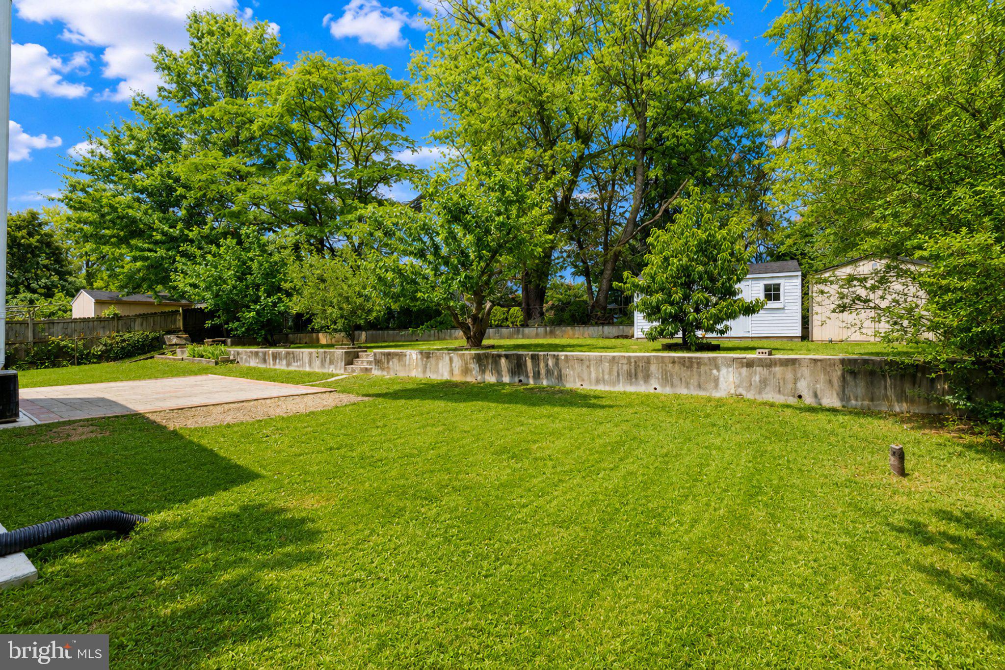 5712 Ash Drive Springfield, VA 22150 - Photo 34 of 38 Lush green yard with serene backdrop.