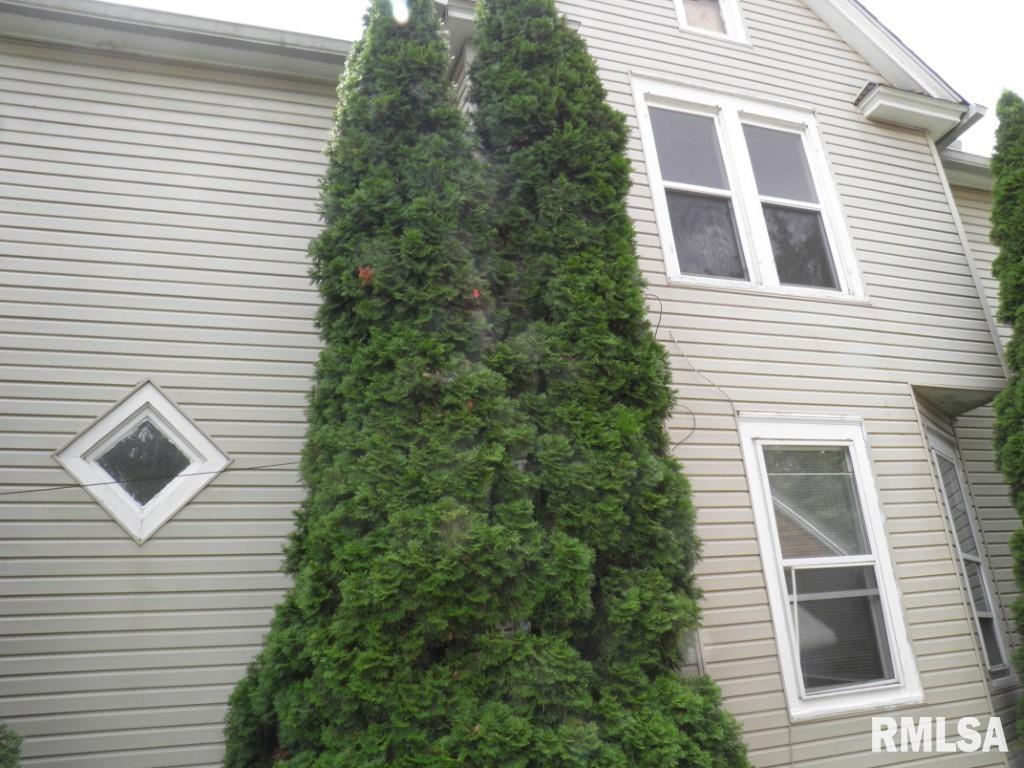 250 44th Street Moline, IL 61265 - Photo 3 of 18