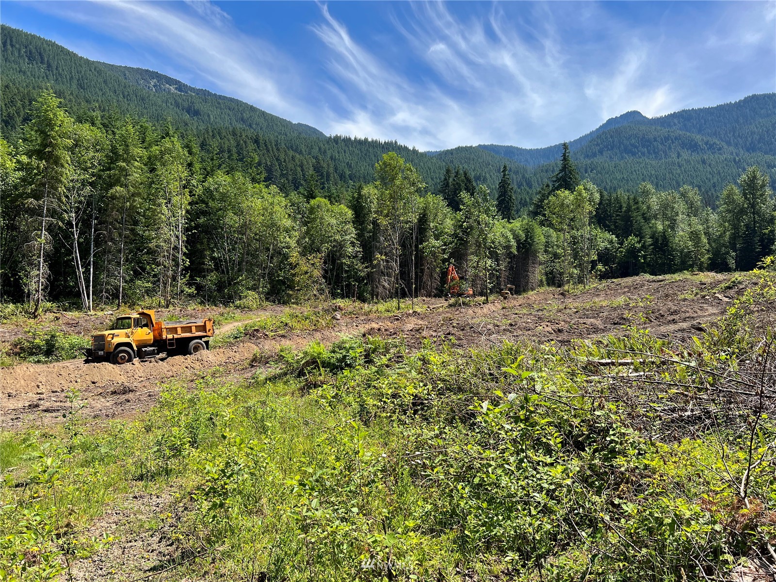 0 Bennett Road, Unit LOT B Randle, WA 98377 - Photo 2 of 17 Gallery Image 2