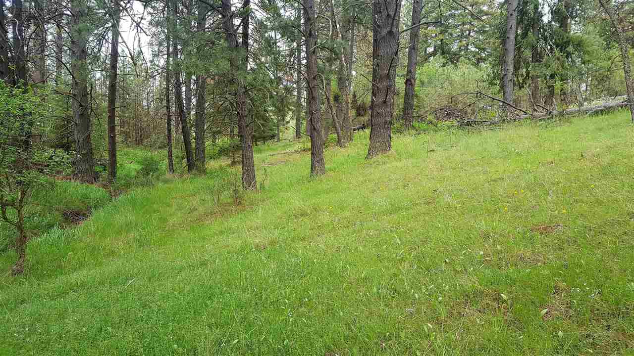 North Austin Road Spokane, WA 99208 - Photo 5 of 11