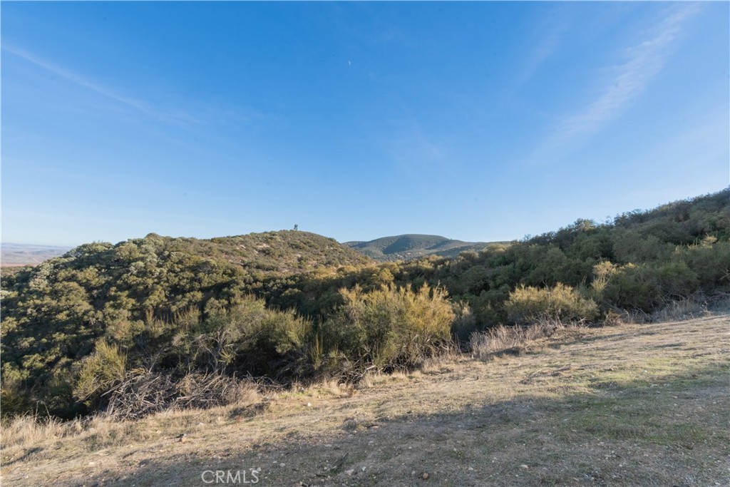 70598 Jolon Road Bradley, CA 93426 - Photo 30 of 43 a view of a dry yard with mountains in the background