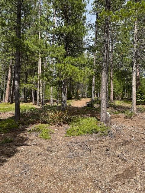 43 Clear Spring Way, Unit 43 Crescent Lake, OR 97733 - Photo 2 of 6 IMG_5471