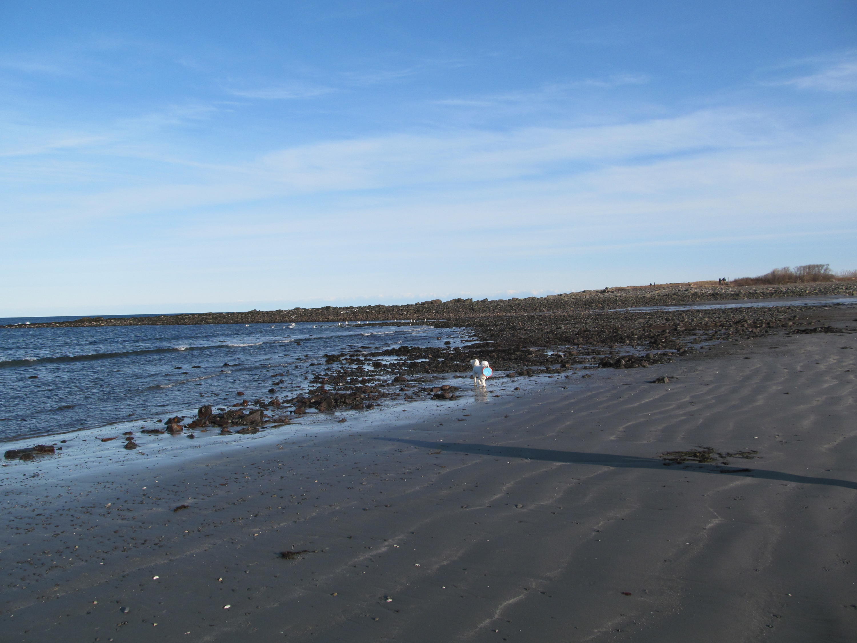 81 Bartlett Road Kittery, ME 03905 - Photo 11 of 46 IMG_8176