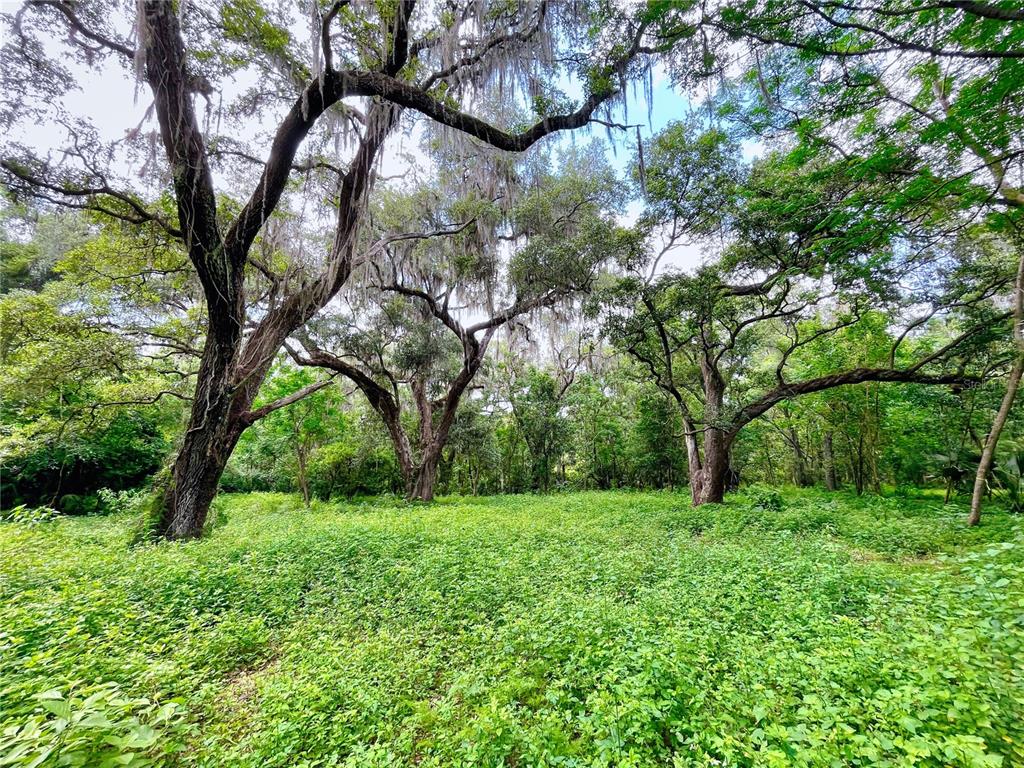 0 Spring Garden Ave Unit 1