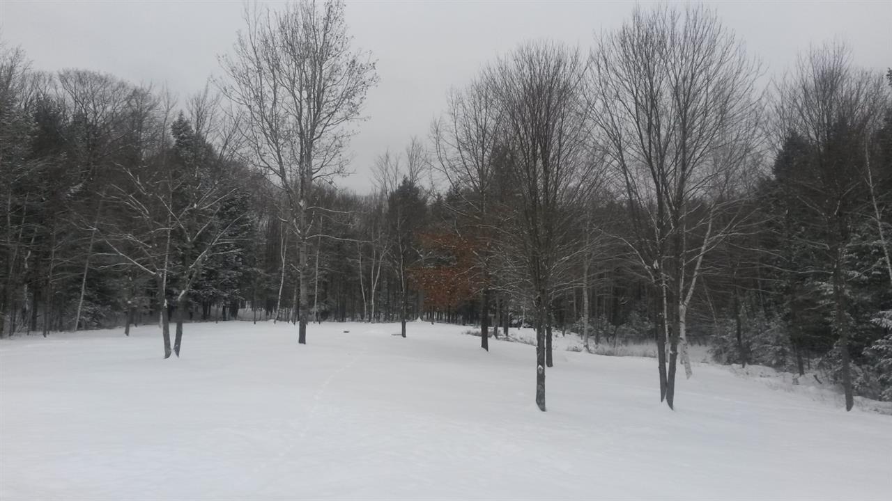 127 Canaan Road Strafford, NH 03884 - Photo 2 of 25
