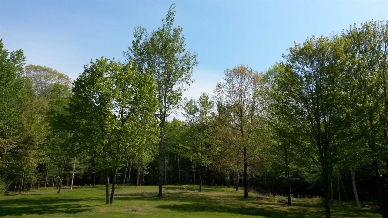 127 Canaan Road Strafford, NH 03884 - Photo 3 of 25