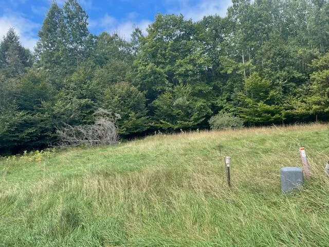 $33,000 | Opal Ridge, Onekama, MI 49675