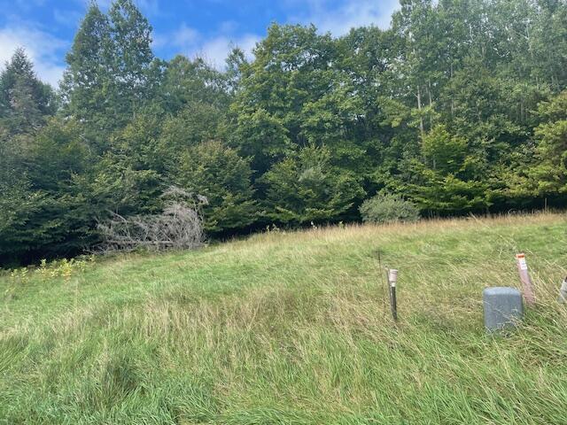 Opal Ridge Onekama, MI 49675 - Photo 2 of 7 IMG_0704