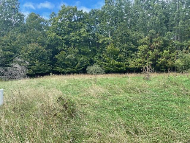 Opal Ridge Onekama, MI 49675 - Photo 6 of 7 IMG_0702