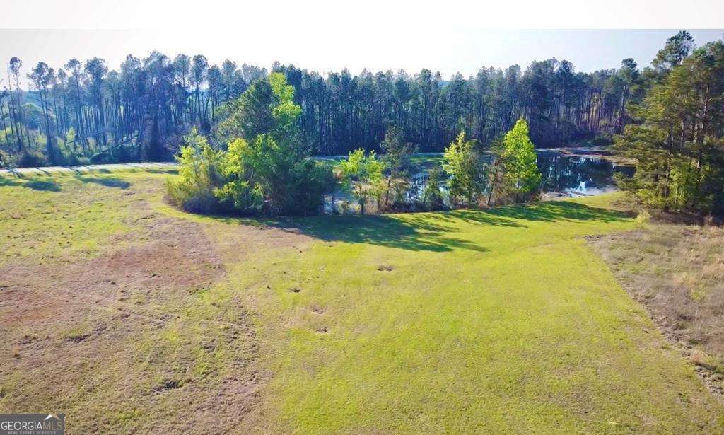 1881 Bell Telephone Road Hazlehurst, GA 31539 - Photo 60 of 71