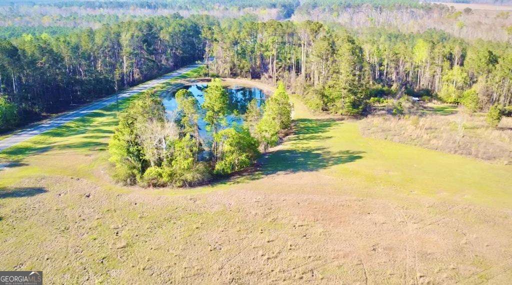 1881 Bell Telephone Road Hazlehurst, GA 31539 - Photo 64 of 71