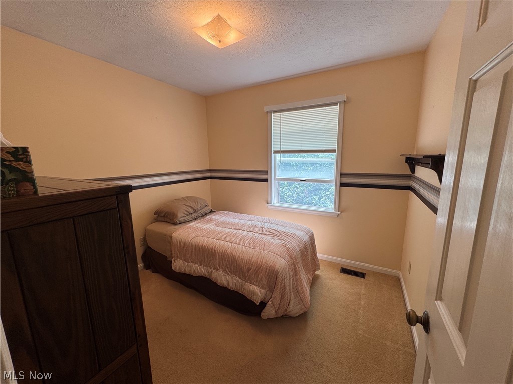 8201 Orchard Road Painesville, OH 44077 - Photo 28 of 45 Bright room featuring a window with blinds, carpeted flooring, and a ceiling-mounted light fixture