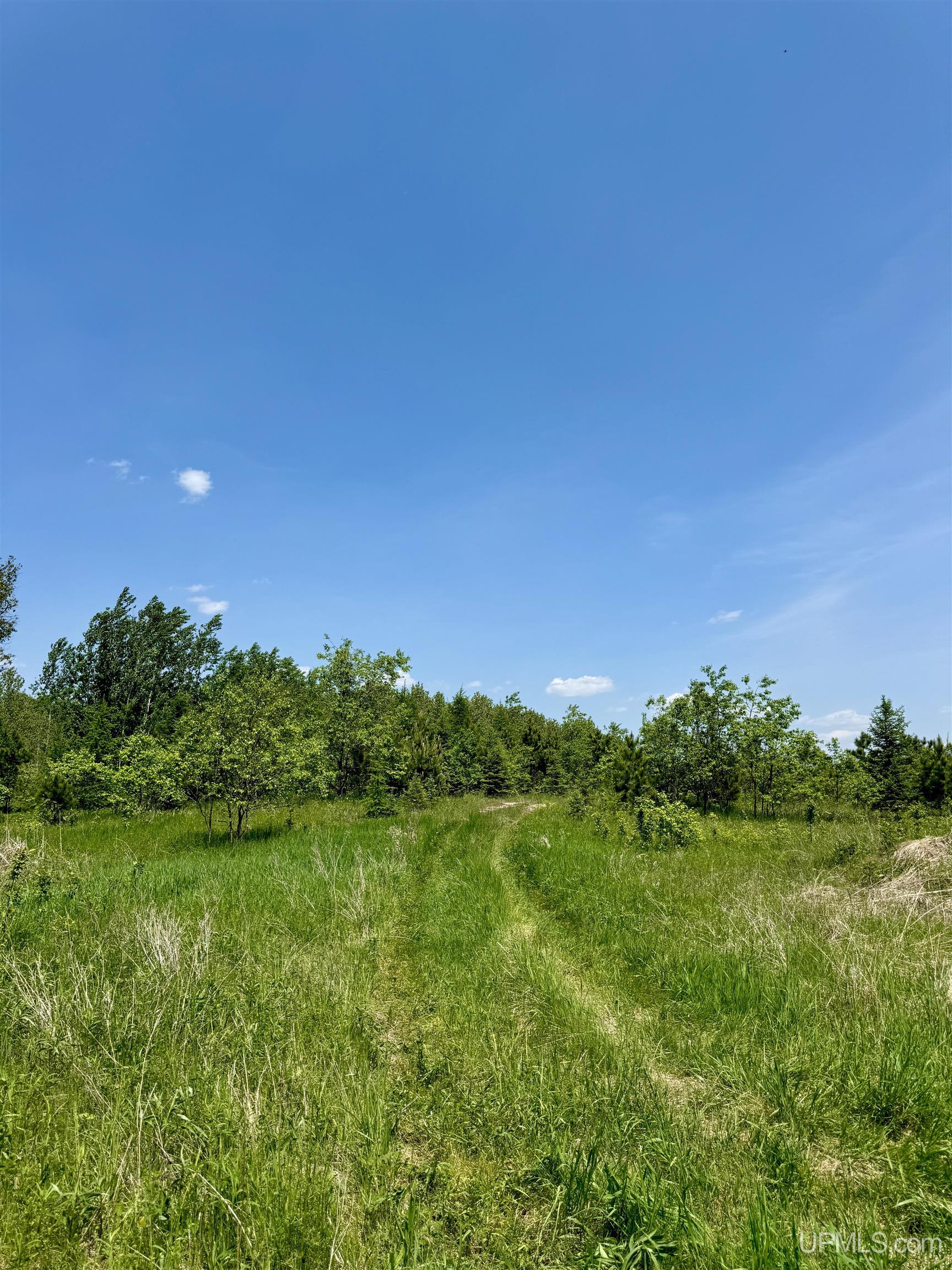 400 Rd Perronville Mi 49807 Road Bark River, MI 49807 - Photo 6 of 30