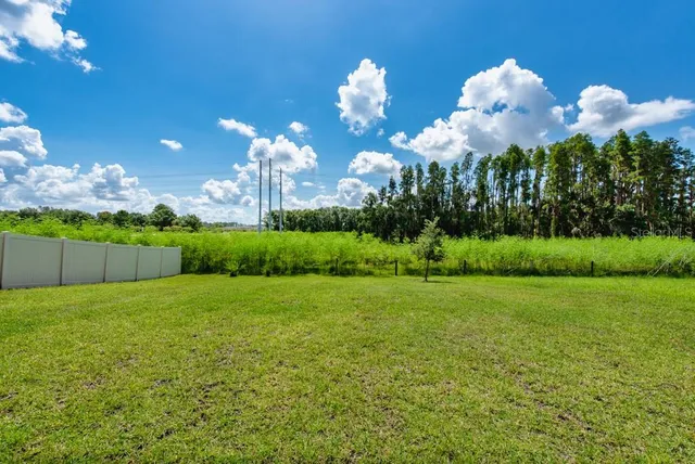 a view of a house with a big yard and potted plants
