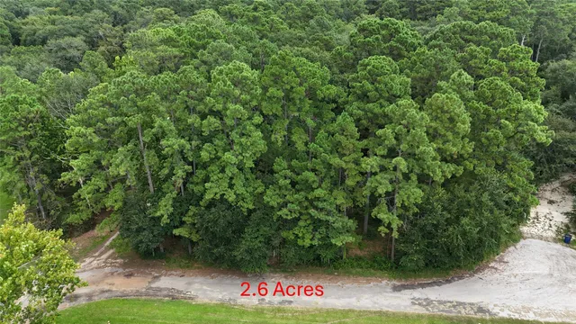 a view of lush green space