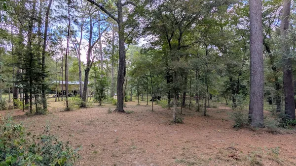 a view of outdoor space with trees