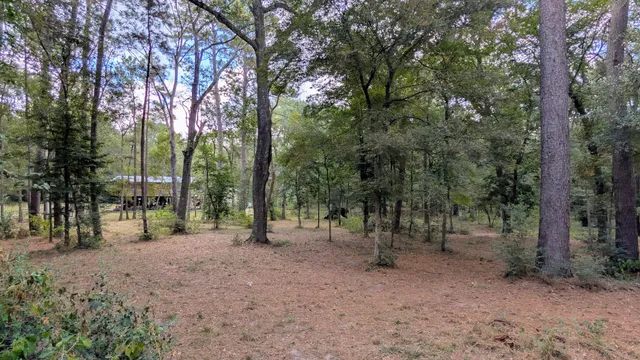 a view of outdoor space with trees