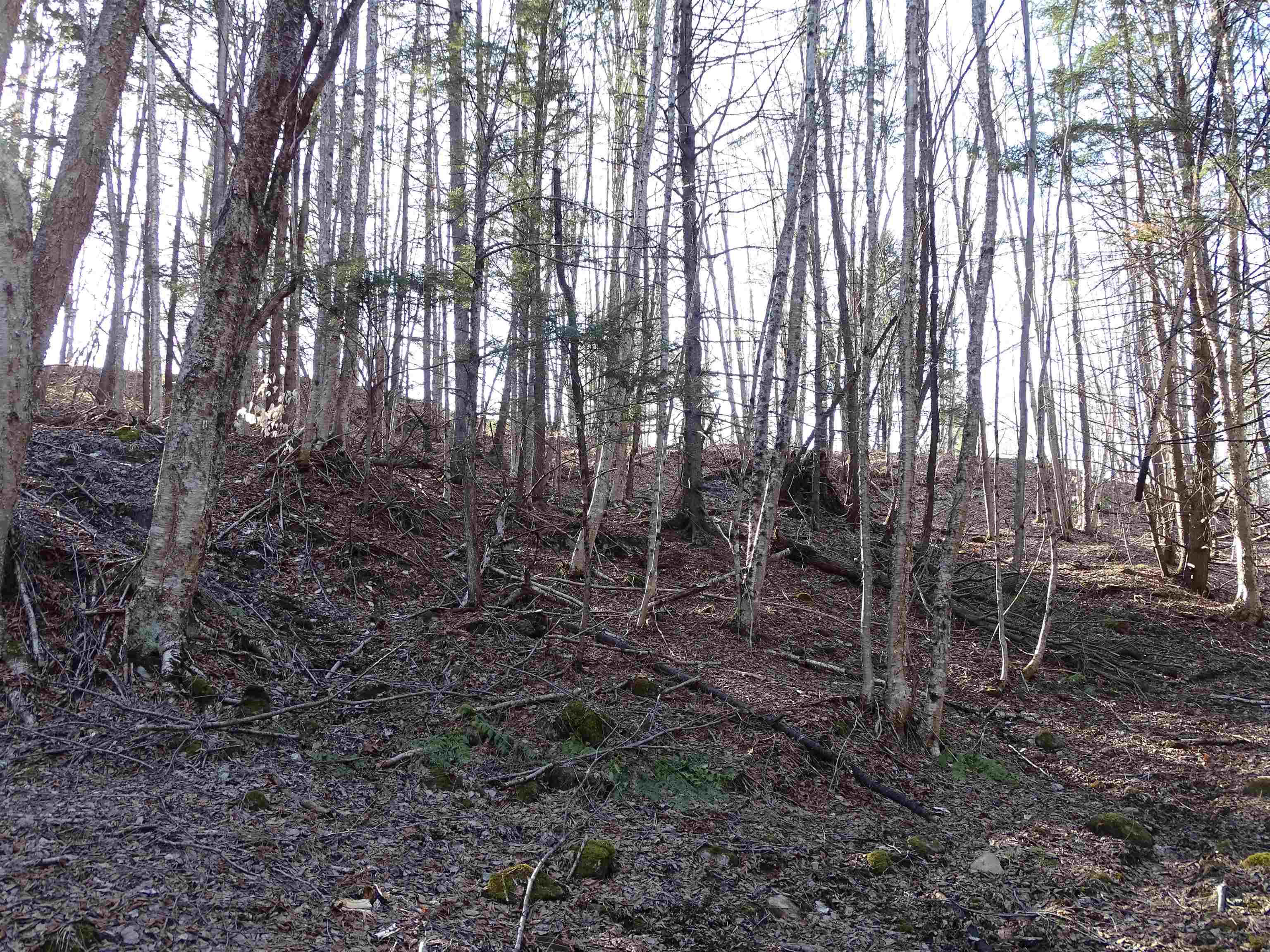 74 Buzzell Road Newport Town, VT 05857 - Photo 19 of 30 Gallery Image 19