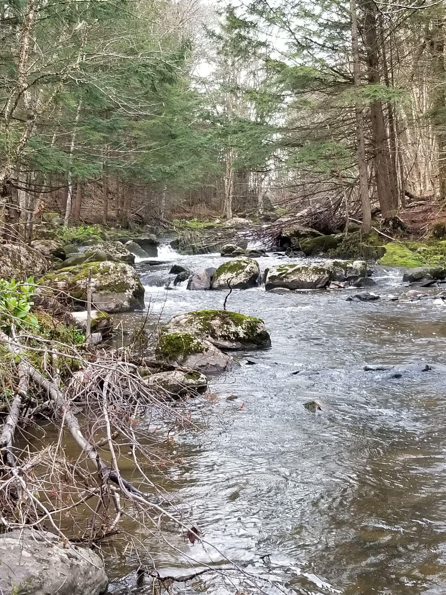 74 Buzzell Road Newport Town, VT 05857 - Photo 22 of 30 Gallery Image 22