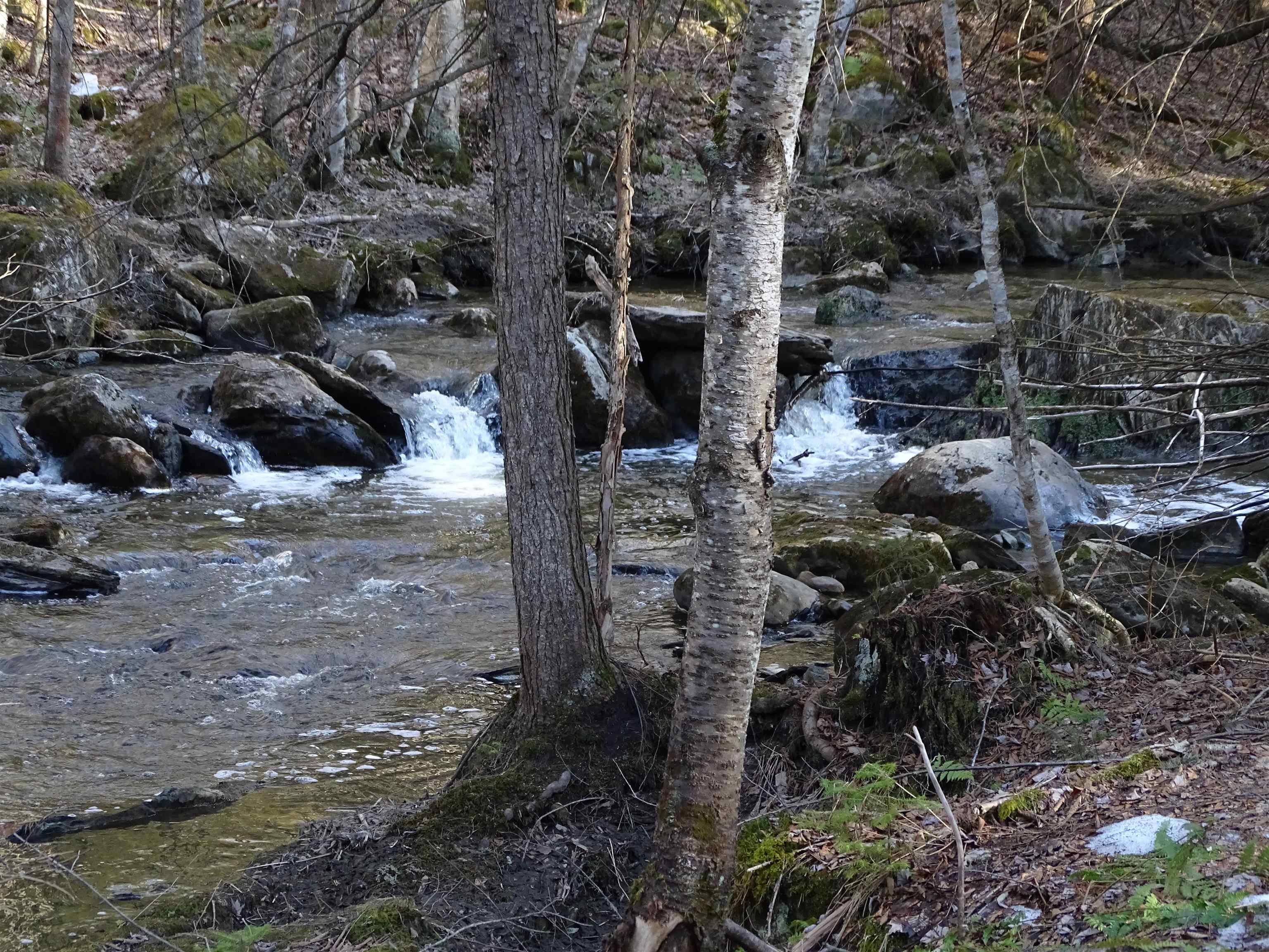 74 Buzzell Road Newport Town, VT 05857 - Photo 28 of 30 Gallery Image 28