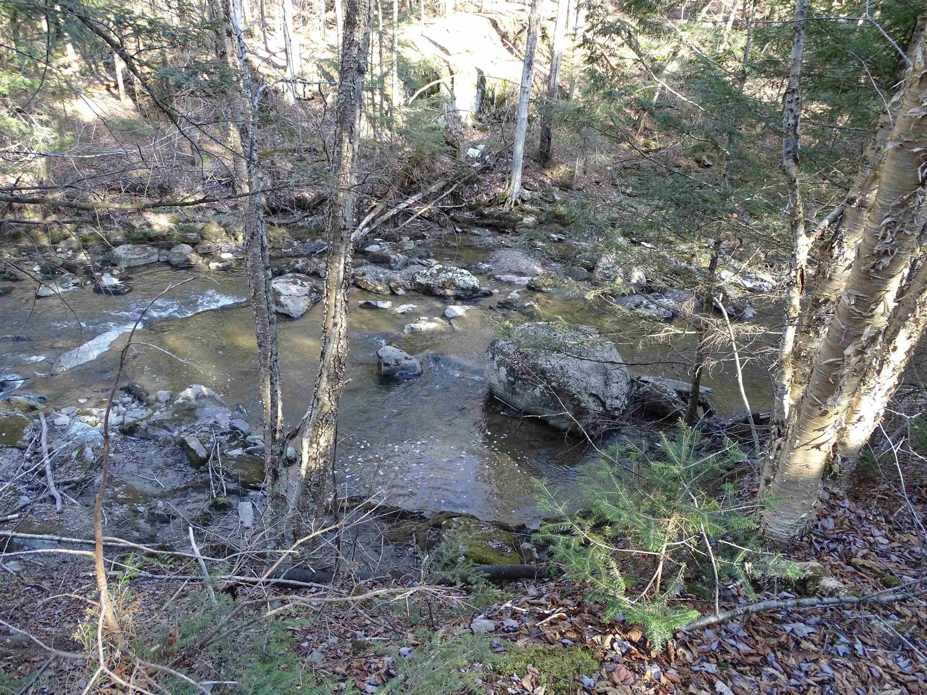 74 Buzzell Road Newport Town, VT 05857 - Photo 29 of 30 Gallery Image 29