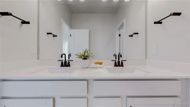 a bathroom with a shower and a plant