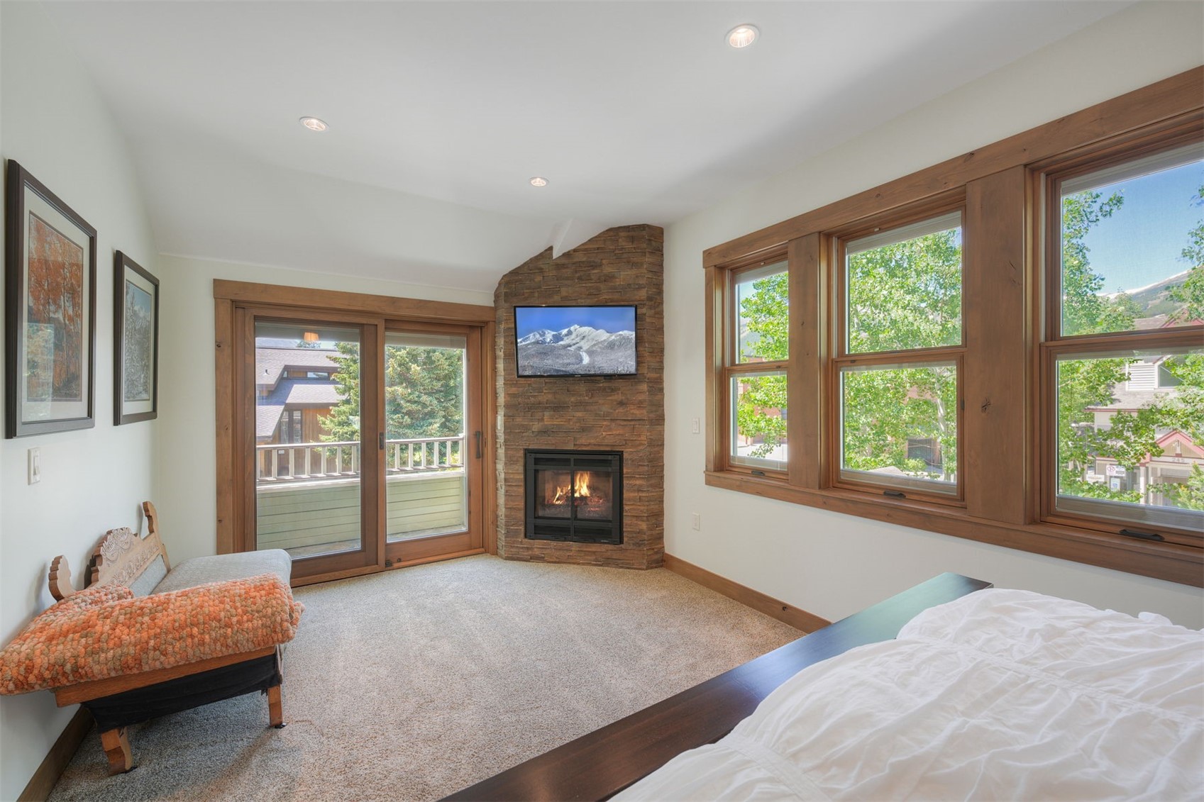226 South Ridge Street Breckenridge, CO 80424 - Photo 21 of 49