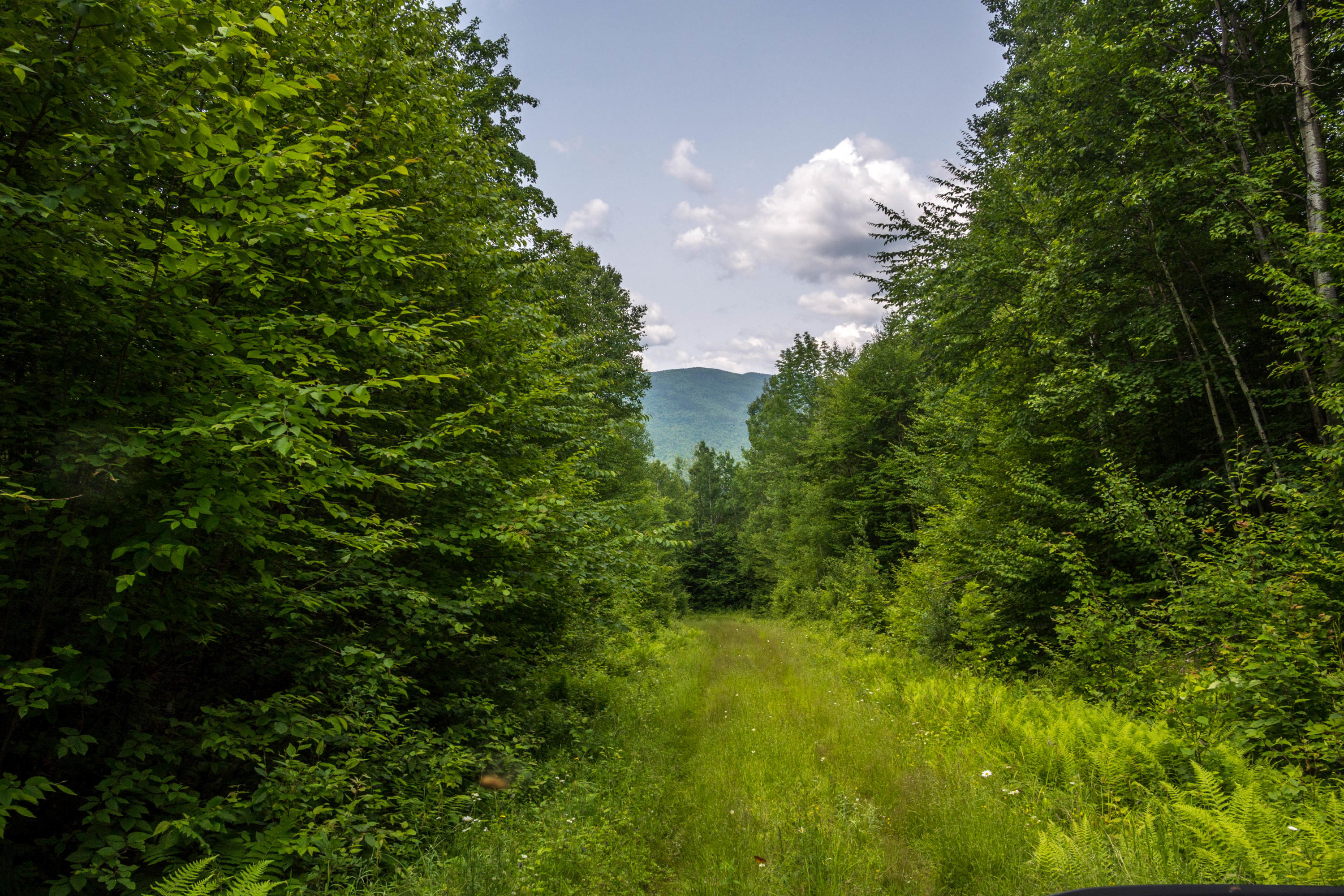Lot 1 Puzzle Mountain Road Newry, ME 04261 - Photo 2 of 25 Bob Stewart Land-23
