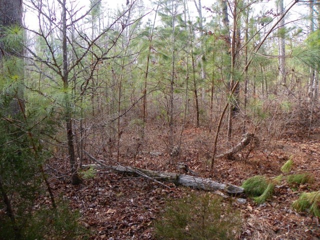 529 Terrapin Pointe Road Hodges, SC 29653 - Photo 2 of 12