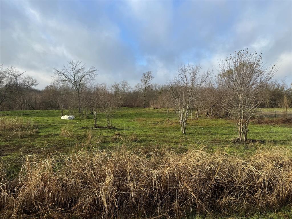 a view of a field with trees