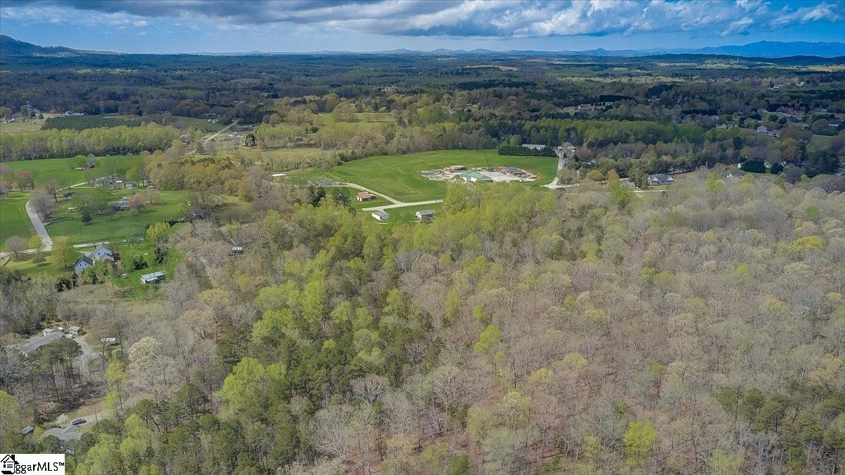 0 Locust Hill Road Taylors, SC 29687 - Photo 3 of 19 Gallery Image 3