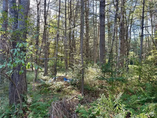 $75,000 | 9439 Fenton House Drive, Watson, NY 13367
