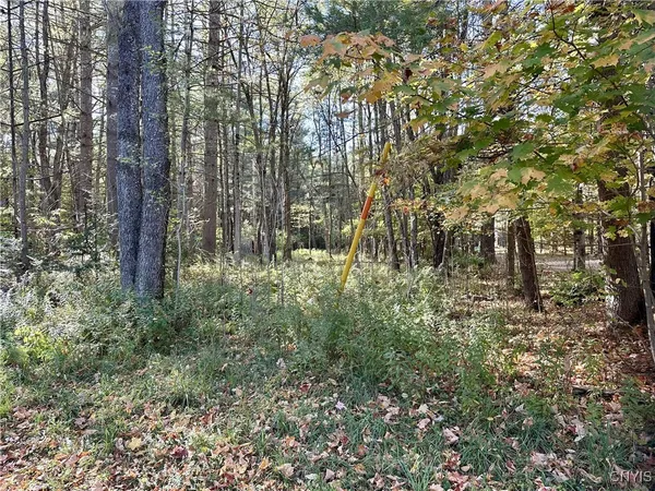 $75,000 | 9439 Fenton House Drive, Watson, NY 13367