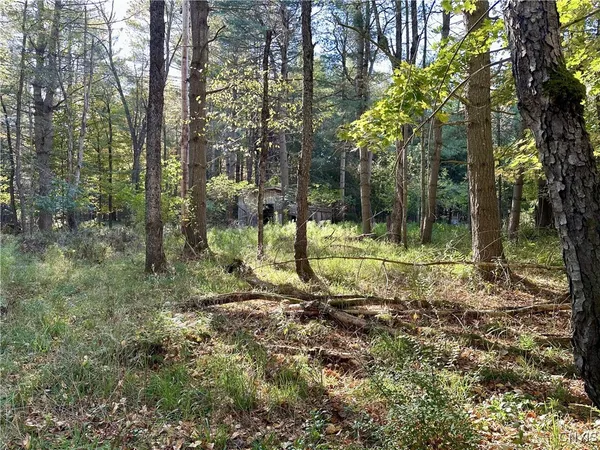$75,000 | 9439 Fenton House Drive, Watson, NY 13367