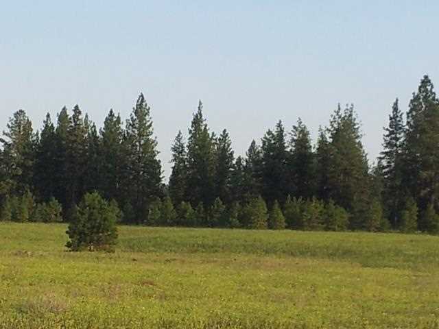 5820 Carey Road Tumtum, WA 99034 - Photo 18 of 20 Gallery Image 18