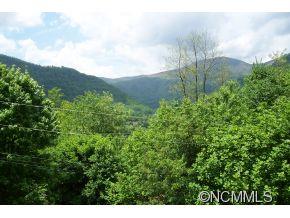 477 Rocky Top Road Maggie Valley, NC 28751 - Photo 4 of 20 a view of a bunch of trees and bushes