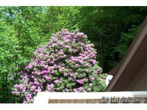 477 Rocky Top Road Maggie Valley, NC 28751 - Photo 5 of 20 a picture of flowers