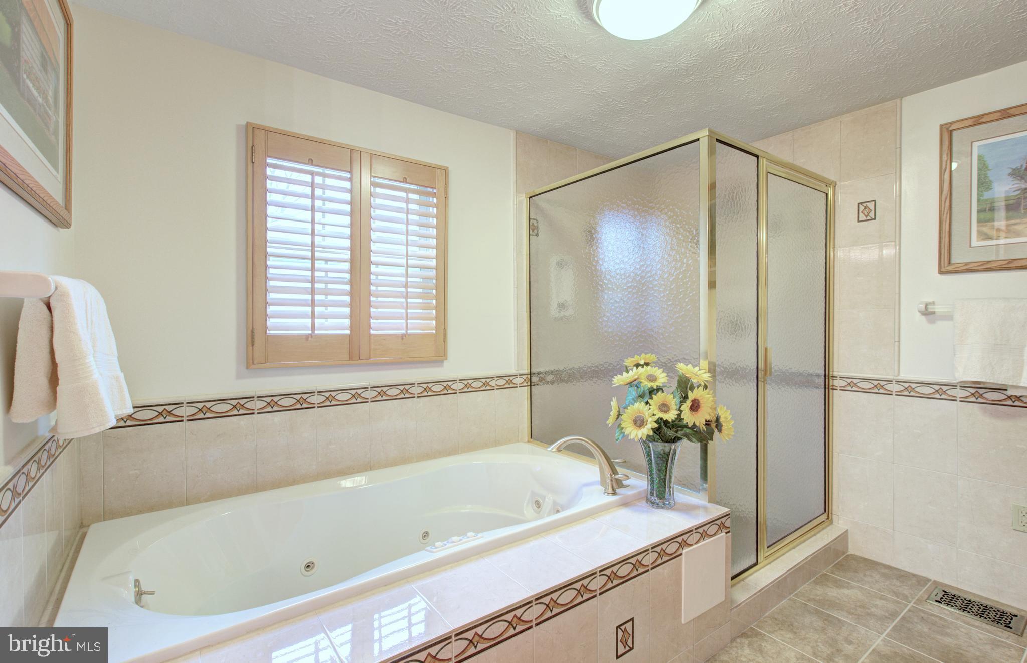 8279 Wold Den Court Springfield, VA 22153 - Photo 16 of 27 Bath (Master)